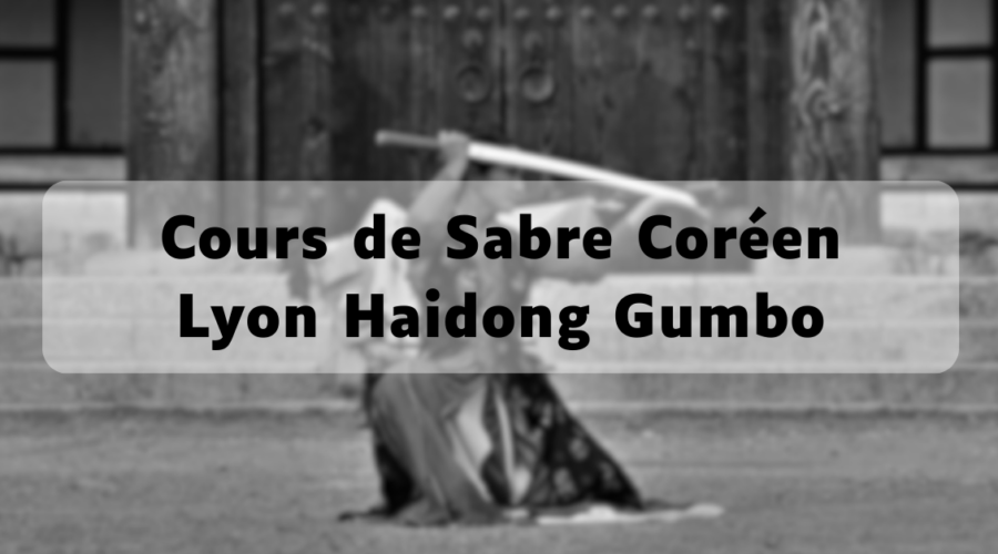 art martial sabre coréen à Villeurbanne organisé par Lyon Haidong Gumbo