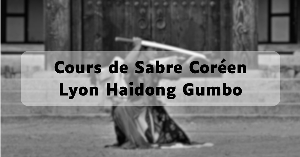 art martial sabre coréen à Villeurbanne organisé par Lyon Haidong Gumbo
